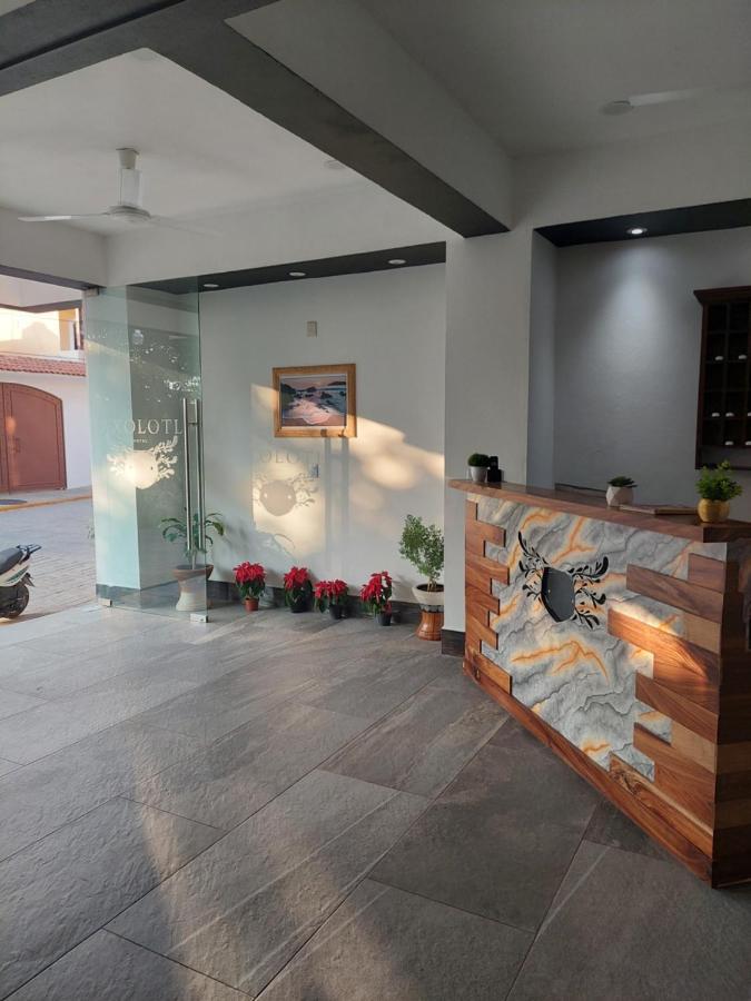 Hotel Axolotl Puerto Escondido  Ngoại thất bức ảnh