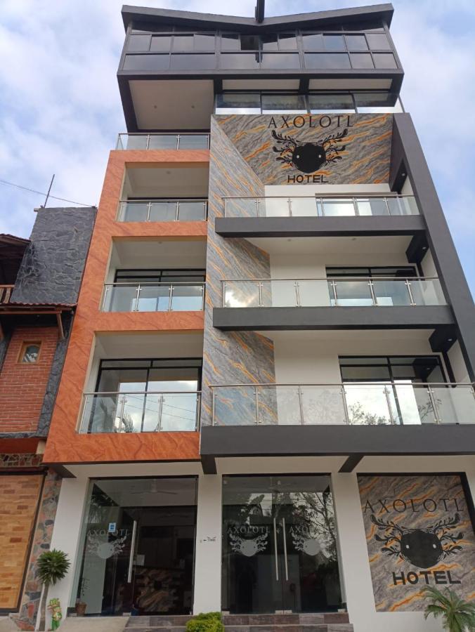Hotel Axolotl Puerto Escondido  Ngoại thất bức ảnh