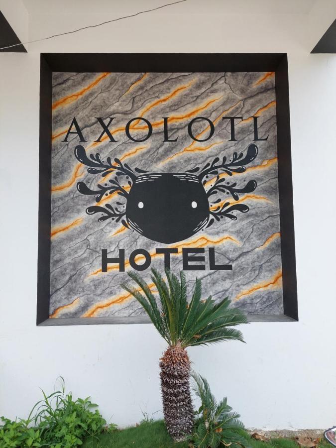 Hotel Axolotl Puerto Escondido  Ngoại thất bức ảnh
