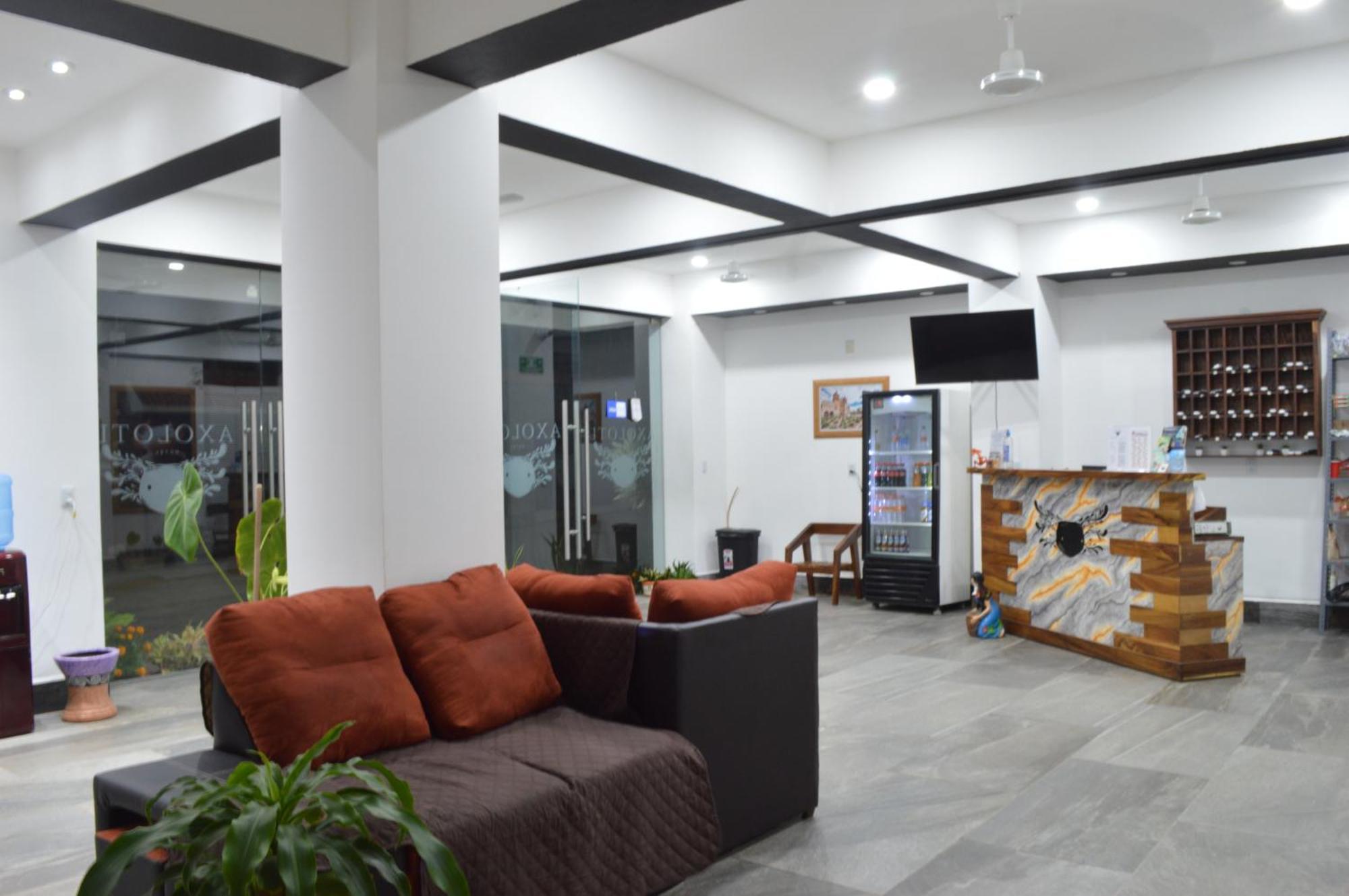 Hotel Axolotl Puerto Escondido  Ngoại thất bức ảnh