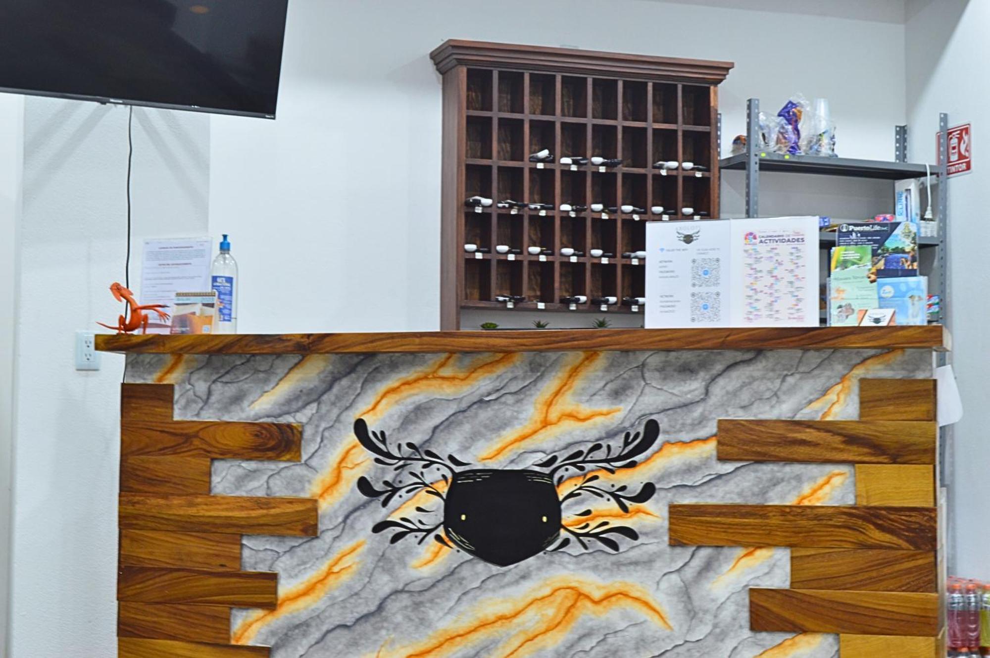 Hotel Axolotl Puerto Escondido  Ngoại thất bức ảnh